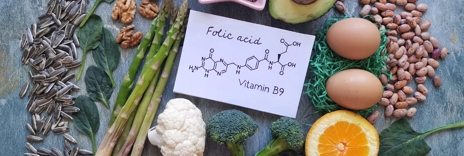 right diet during pregnancy