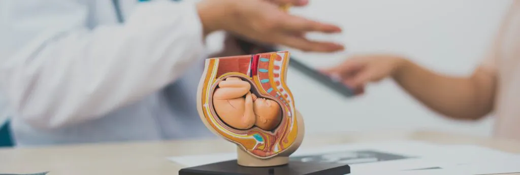 संपर्क करें