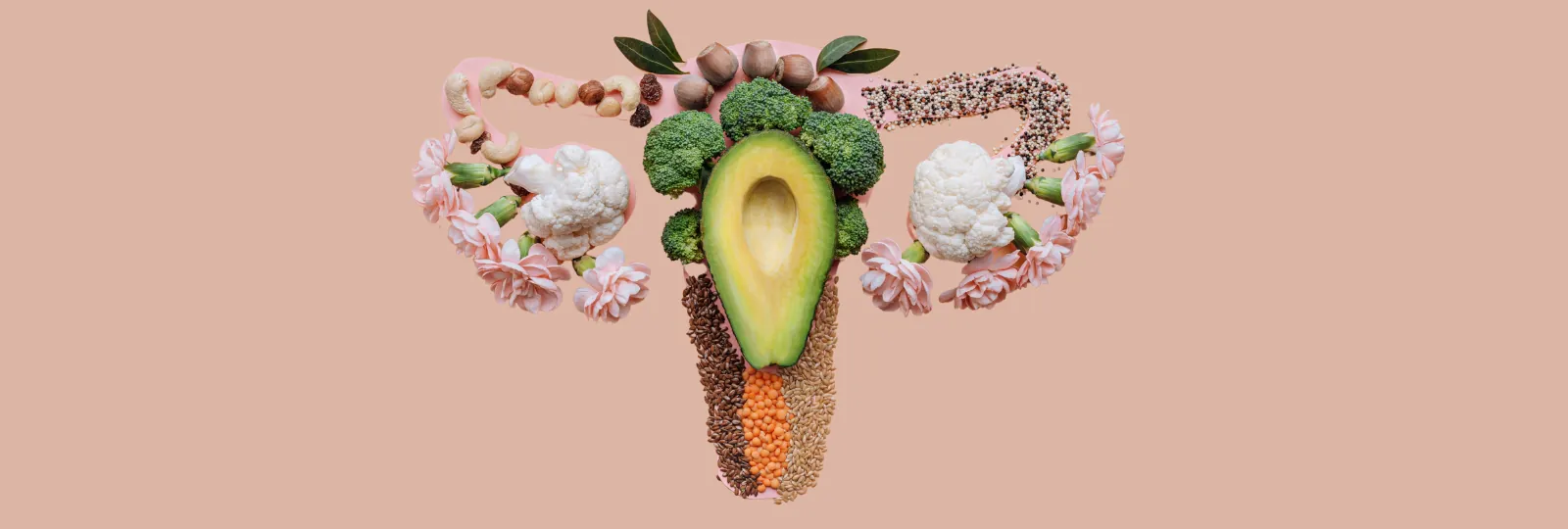 क्या एंटीऑक्सिडेंट्स सप्लीमेंट अंडाणु की क्वालिटी सुधार सकते हैं?